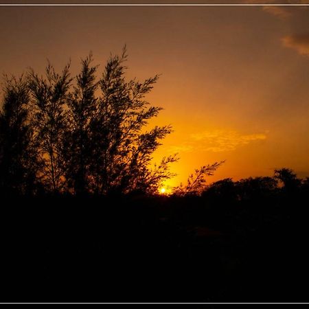 Aura Corbett Resort Corbett National Park Bagian luar foto