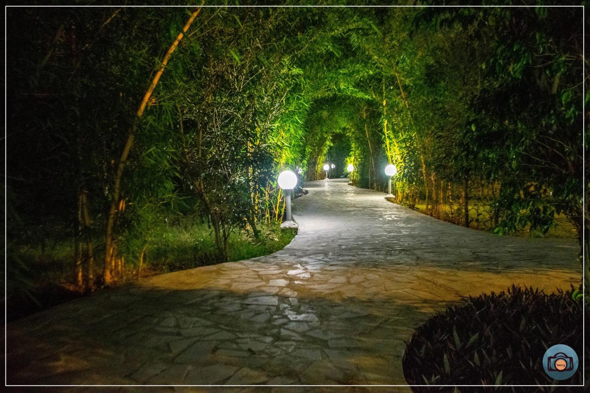 Aura Corbett Resort Corbett National Park Bagian luar foto